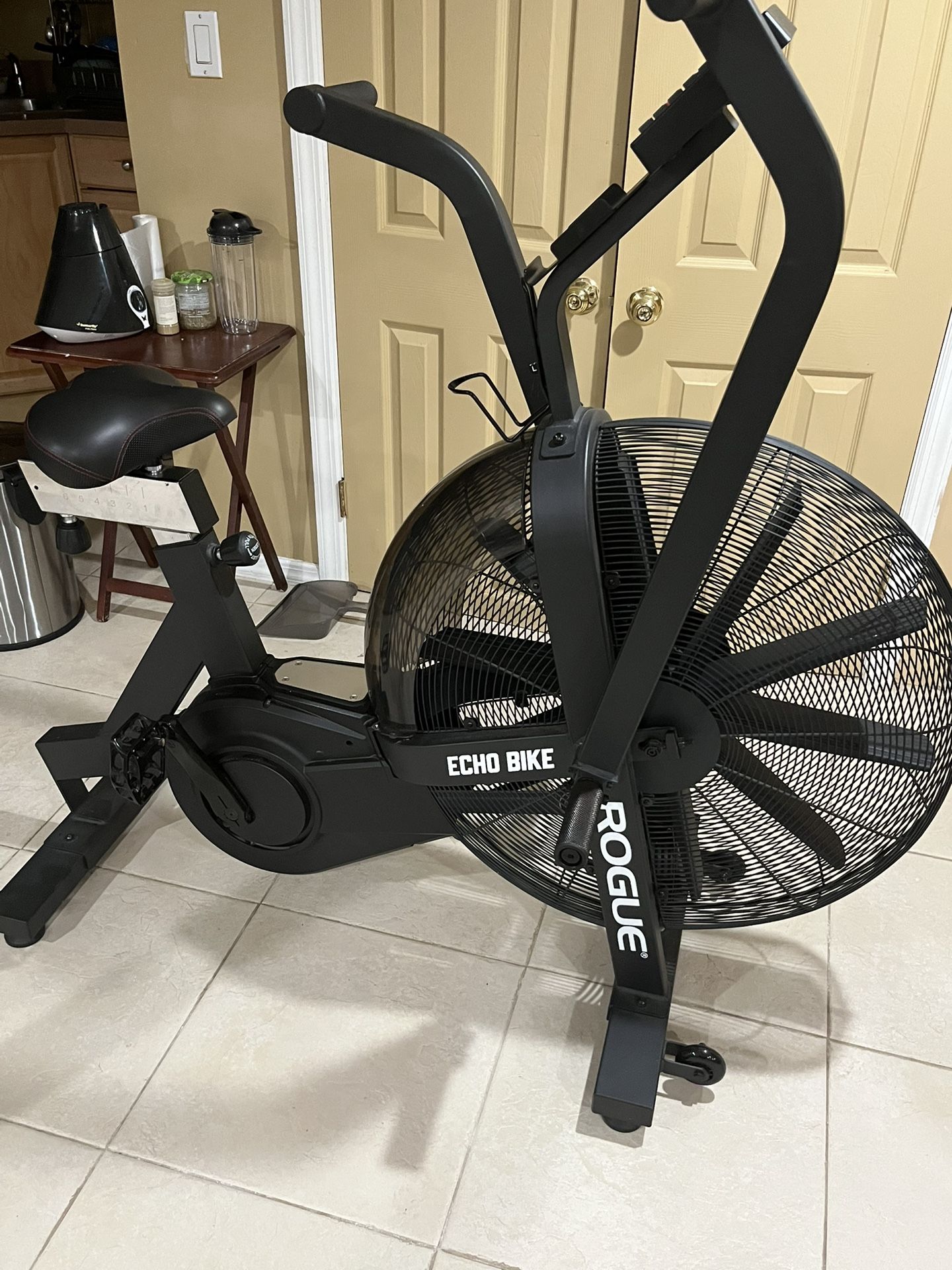 Rogue Echo Bike