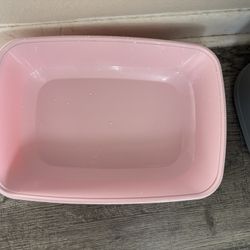 Cat Kitten Litter Box