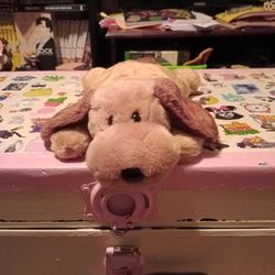 Giant Beanie Babies 10 Dollars Each 