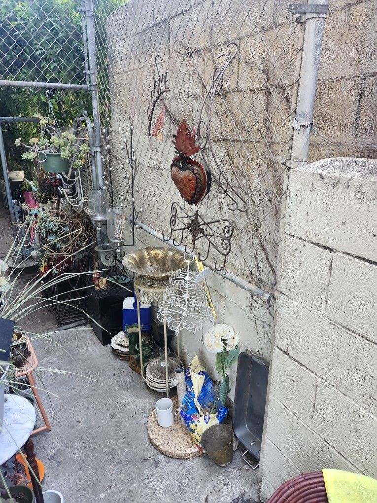 Alot Of Different Plants Different Pots And Plant Stands Everything For Sale!!!!