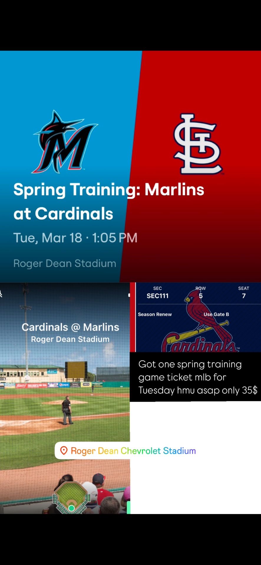 MLB Spring Training Ticket Field Box