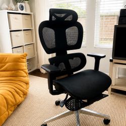Open Box Ergonomic Office Chair with Footrest