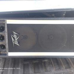Peavey Tall Speaker Duo 