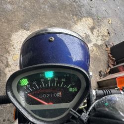 2000’s Model. Ice Bear Champion