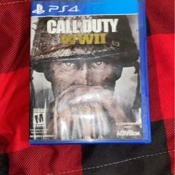 Call Of Duty WW11