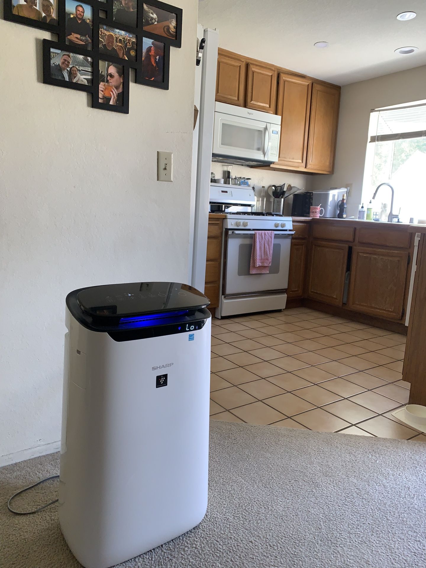 Sharp Purifi with Plasma Cluster Technology 