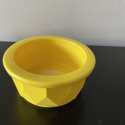 Cat Or Dog Bowl