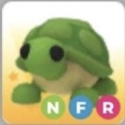 Neón F/R Turtle 