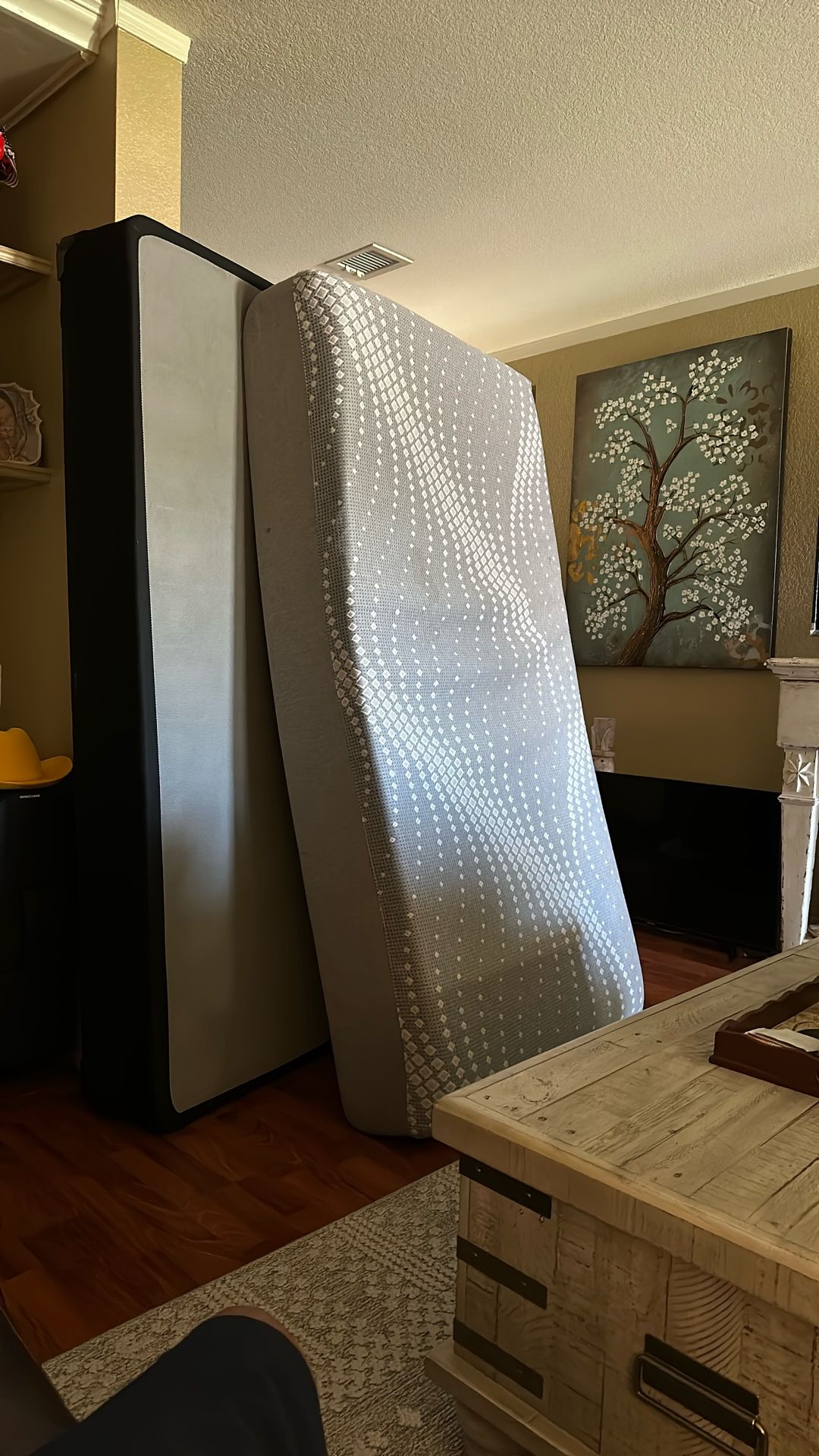 Queen Kids Bed With Box Spring