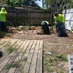 Tree Work 