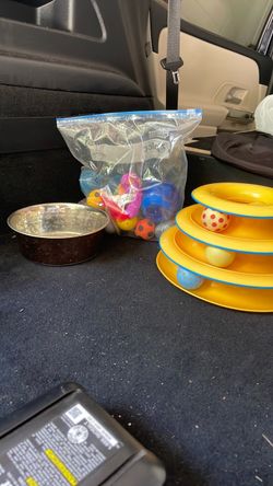 Cat supplies
