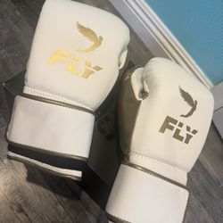 Fly Boxing Glove