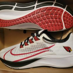 Cardinals Pegasus 