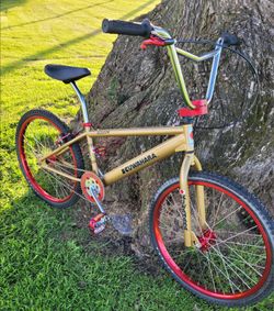 Kuwahara frame with Eastern forks 24 bmx