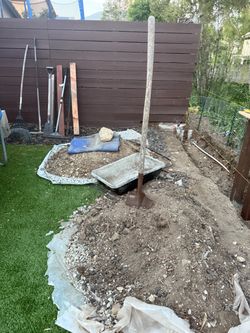 Free soil for backyard