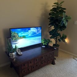 Center table or tv stand