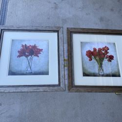 Floral Framed Prints