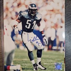 Signed 8x10 Photo Philadelphia Eagles Mike Mamula, William Thomas, Charles Johnson NFL Auto Picture