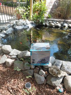SURFACE SKIMMER 80 GAL/HR