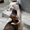‘NOPE, NOT ME’