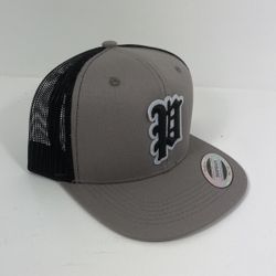 Snapback Hat$20
