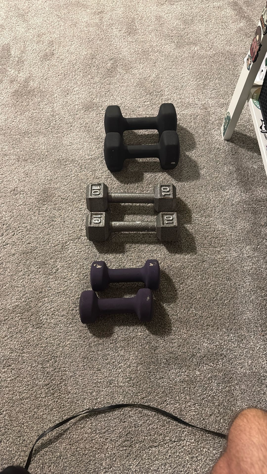 Dumbbell Weight Bundle (Workout equipment)