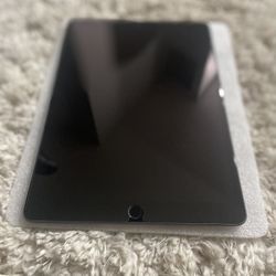 iPad 10.5in