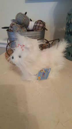 Webkinz dog brand new