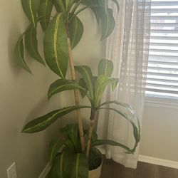 Artificial Plant 