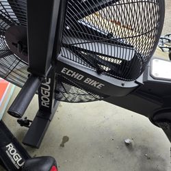 Rogue Echo Bike 