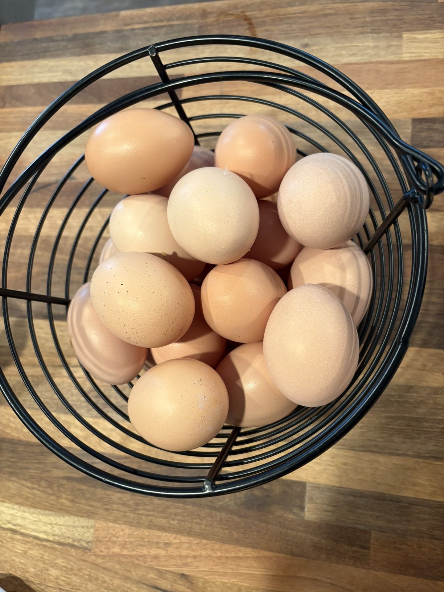 Farm Fresh Chicken Eggs - $9 a Dozen
