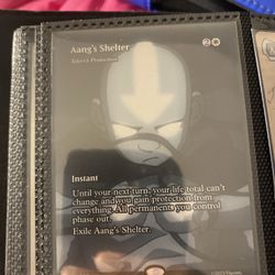 Mtg Aangs Shelter Card $100 Appa Steadfast Guardian $70