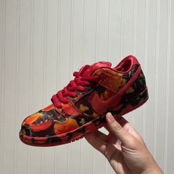 Size 8.5 Nike Dunk Wizard Of Oz