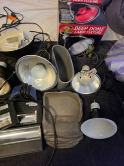Random assortment of reptile accessories