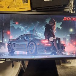 Monitor W/ Monitor Arms.