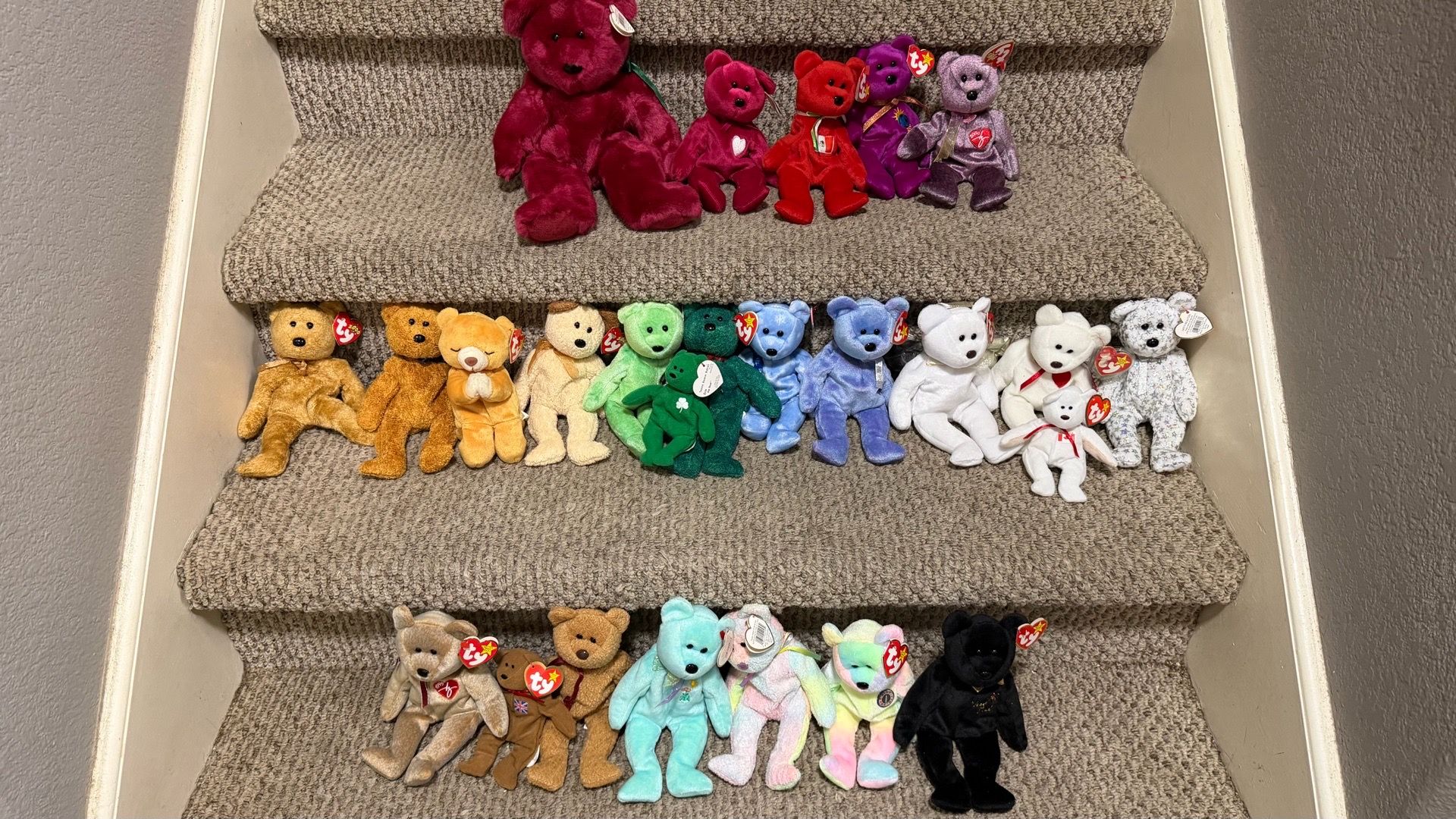 Ty Bear 25 plushies Collection -