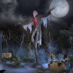 Home Depot Gally Crow