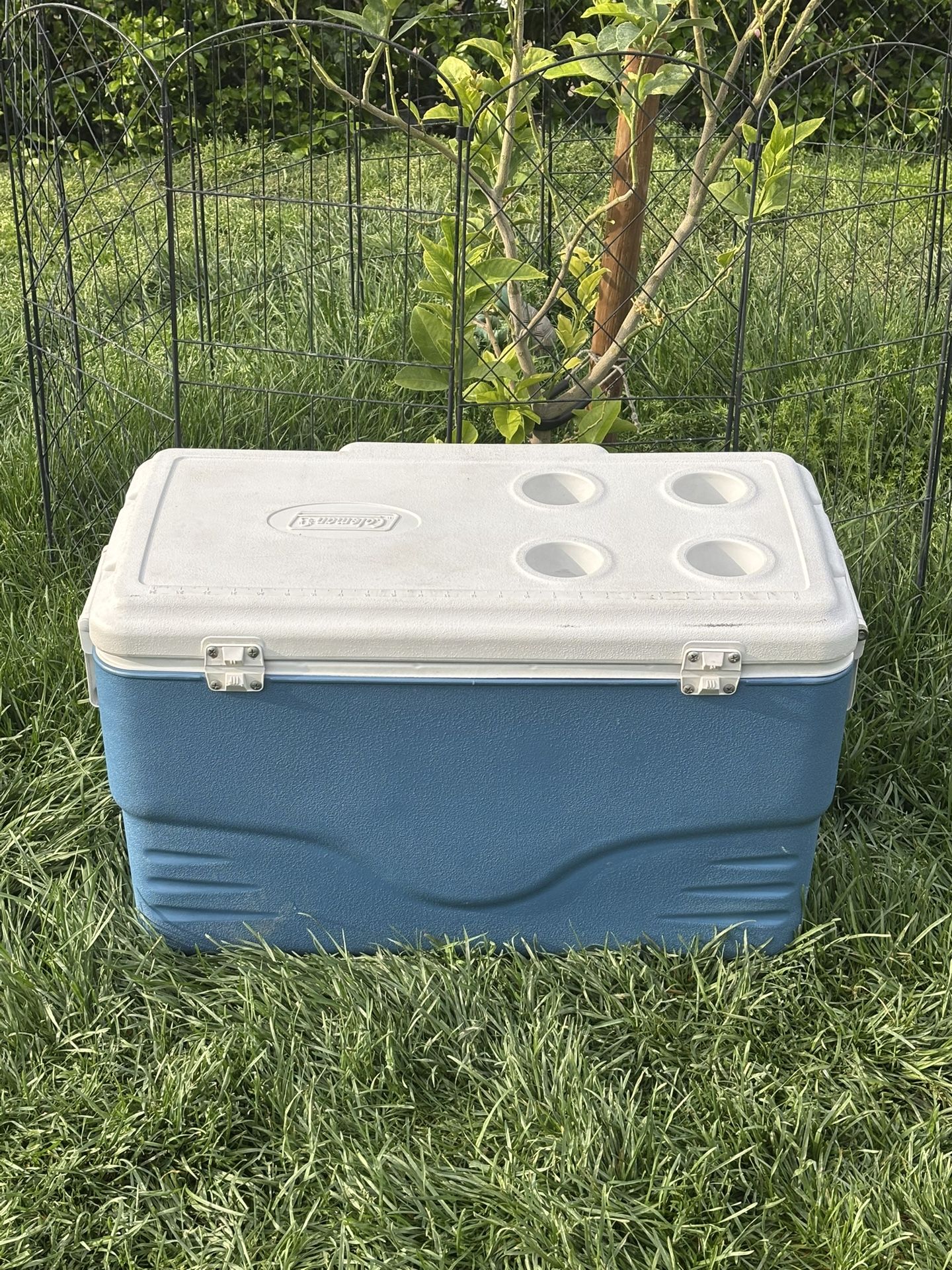 COLEMAN ICE CHEST,COOLER
