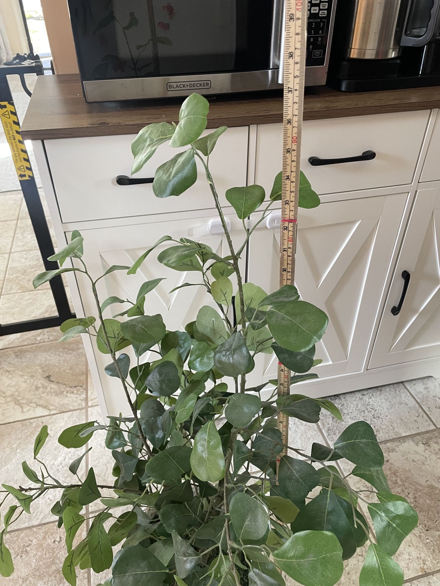 Target Hearth and Hand plant