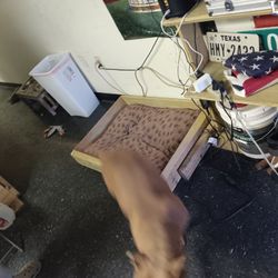 Dog Bed Frames