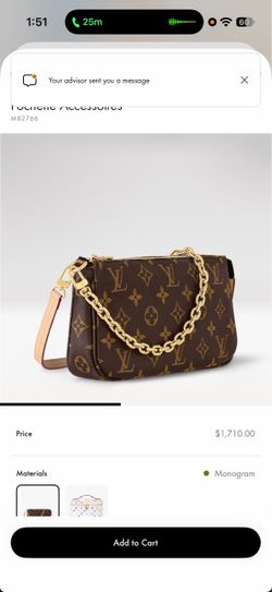 Louis Vuitton pouchette