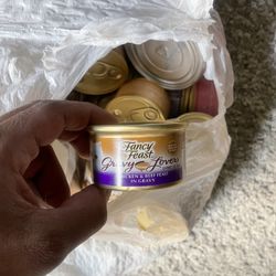 Cat Food