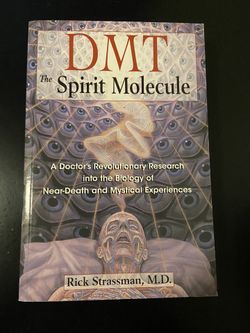 DMT The Spirit Molecule