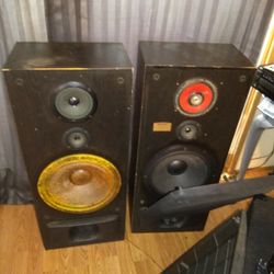 Speaker