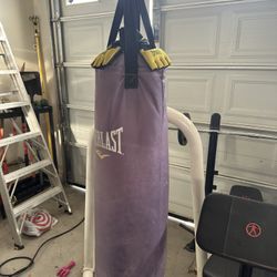 Everlast Punching Bag, Stand, and Gloves. 