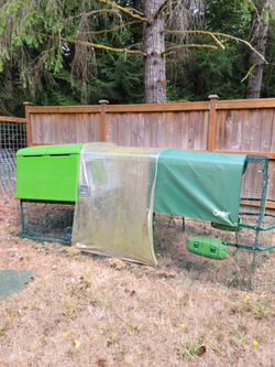 EGLU chicken coop