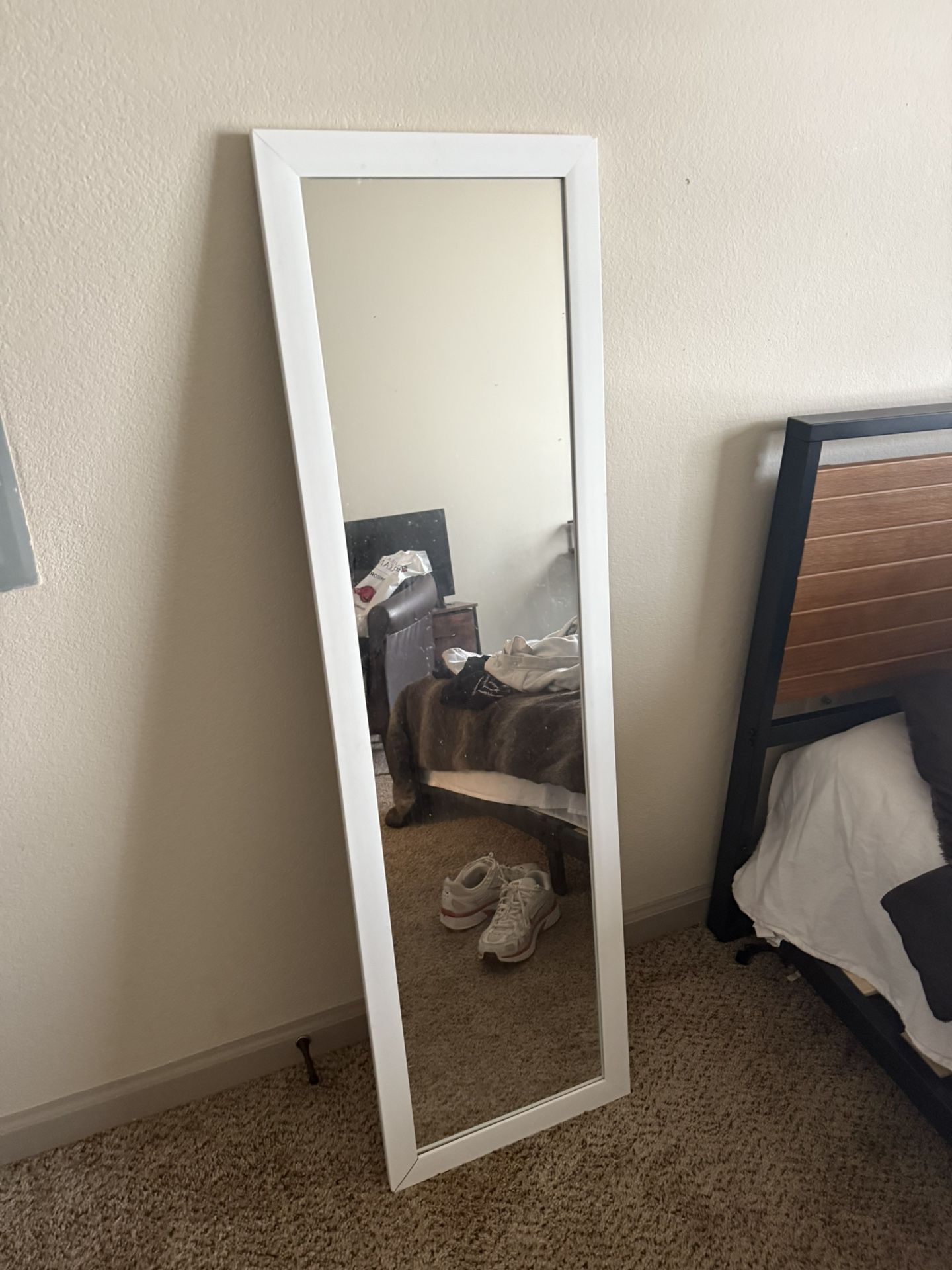 Mirror