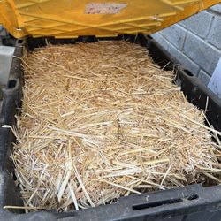 Chicken Straw And Chick Growing Box 