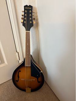 Mandolin, AM 100 VS  Mitchell