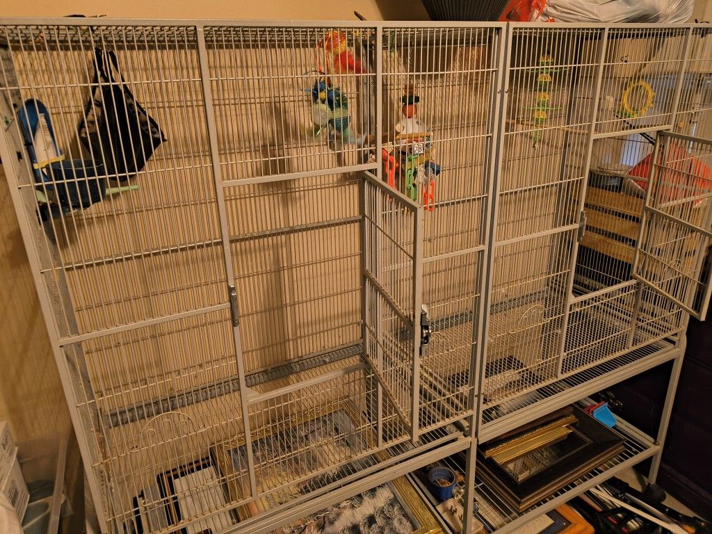 Bird Cage